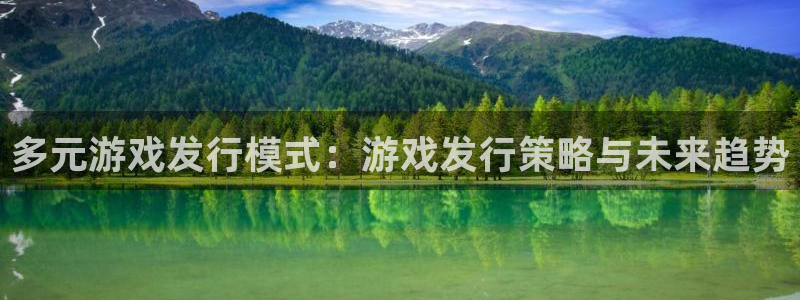 db电竞官网平台怎么样可靠吗：多元游戏发行模式：游戏发行策略与未来趋势