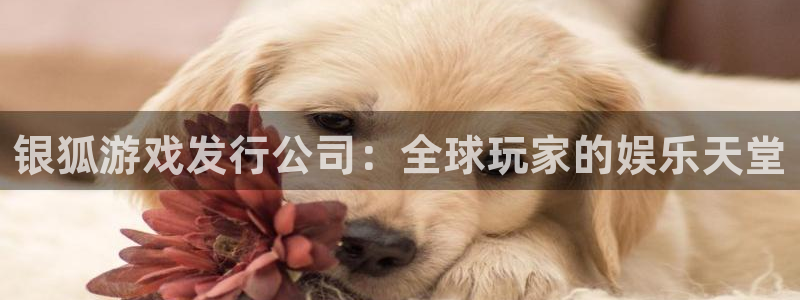db电竞子文化游戏：银狐游戏发行公司：全球玩家的娱乐天堂