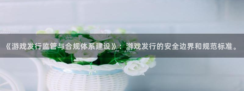 db电竞官网官网注册账号密码：《游戏发行监管与合规体系建设》：游戏发行的安全边界和规范标准。