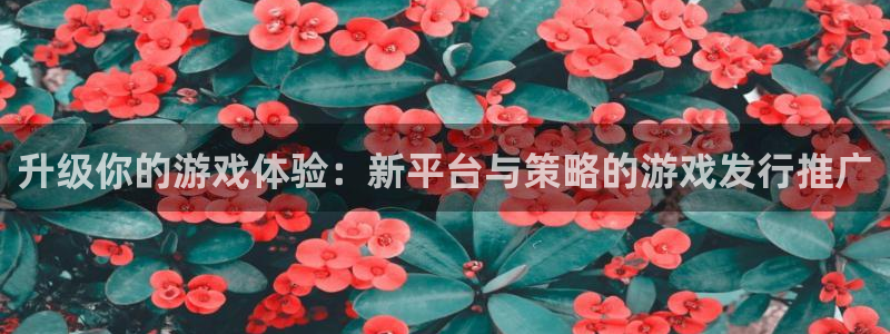 广东db电竞电子商务有限公司