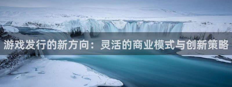 db电竞官网平台代理开号流程：游戏发行的新方向：灵活的商业模式与创新策略