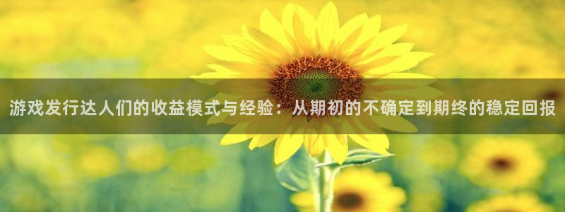 db电竞官网代理注册不了：游戏发行达人们的收益模式与经验：从期初的不确定到期终的稳定回报