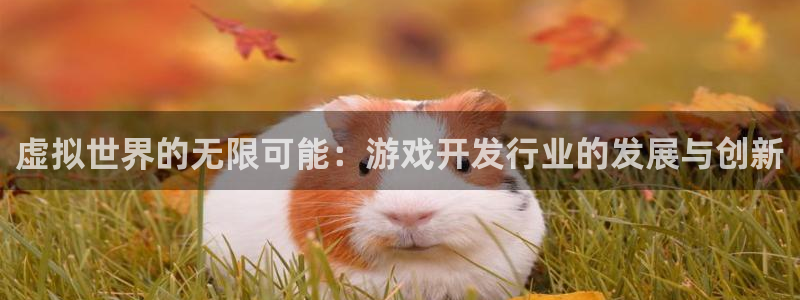 江苏db电竞