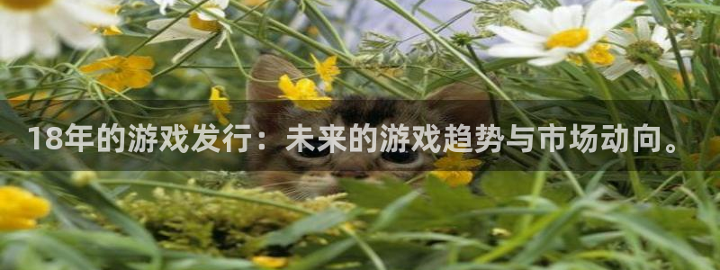 db电竞子出版社董事长