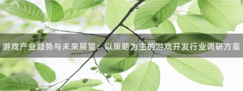 db电竞官网注册方法视频教程：游戏产业趋势与未来展望：以策略为主的游戏开发行业调研方案
