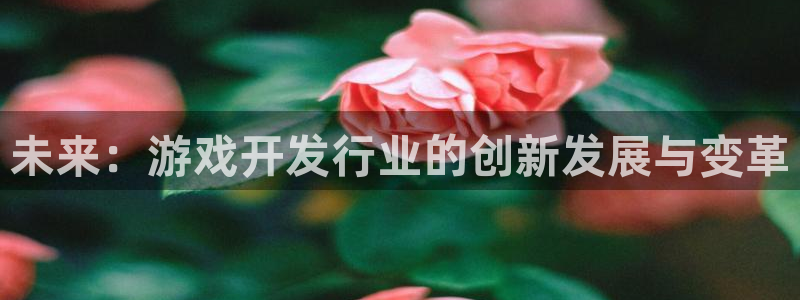 db电竞娱乐测速官网