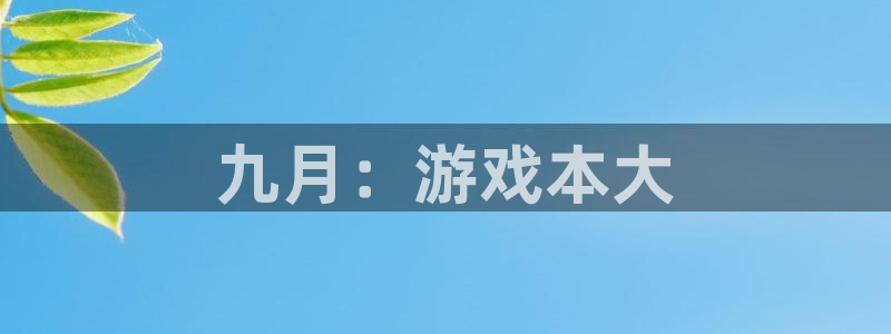 db电竞子文化是干嘛的