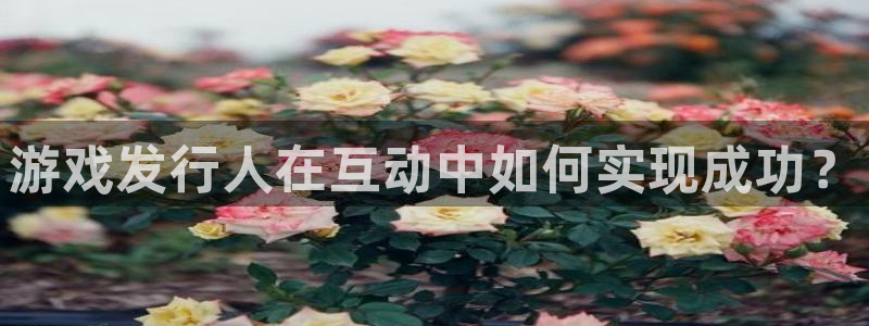 db电竞子财经图书：游戏发行人在互动中如何实现成功？