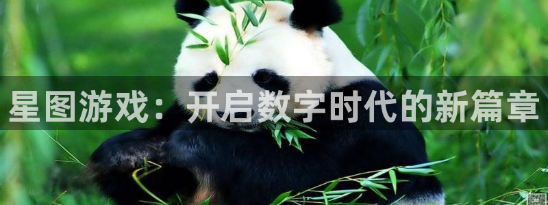 db电竞官网代理注册不了